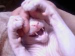    "", 